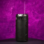 اسپیکر بلوتوثی قابل حمل Sing-E مدل ZQS4275 - تصویر 2